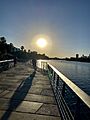 Boardwalk at Lady Bird Lake