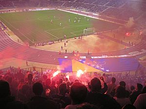 Archivo:Bosnia Soccer Fans at King Baudouin Stadium Brussels