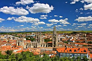 Archivo:Burgos city view facing south east