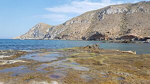 Archivo:Cabo Cope visto desde la Playa de Cope (Águilas)