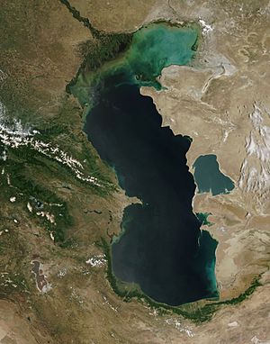 Archivo:Caspian Sea from orbit
