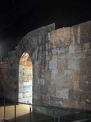 Archivo:Castillo-concepcion-ct15
