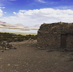 Archivo:Chilcaya Hamlet