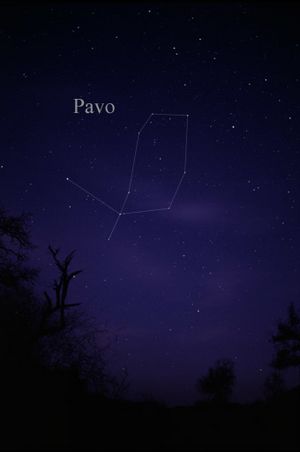 Archivo:Constellation Pavo