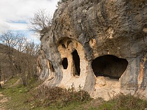 Archivo:Cuevas Guztarriarana 02