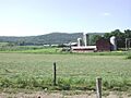 Dairy4667