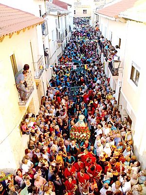 Archivo:Desfile Peñas 2008