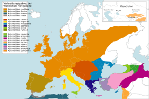 Archivo:EU Apis Mellifera L Map