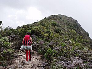 Archivo:El parque es el lugar ideal para la práctica del excursionismo