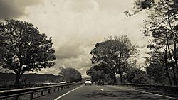 Expreso PR-30, Gurabo, Puerto Rico (1).jpg