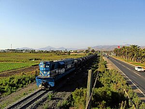 Archivo:Ferrocarril CMP