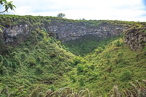 Archivo:First G Adventures outing - to the Los Gemelos Crater-collapse features amongst the Scalesia forests on Santa Cruz Is - collapse feature (16059675693)