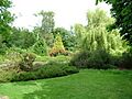 Isabella Plantation - Richmond Park - London - England - 120604