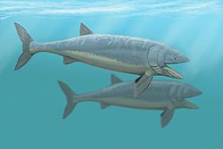 Leedsichtys092.jpg