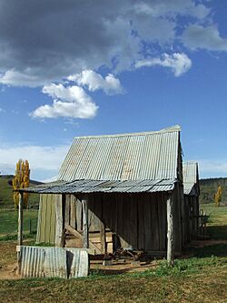 London bridge homestead.jpg
