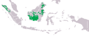 Mapa distribuicao pongo