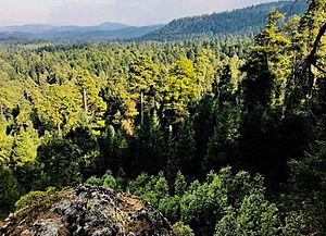 Archivo:Mirador en el paraje 3 piedras