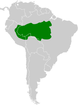 Distribución geográfica del hormiguerito de Sclater.