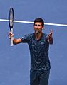 Novak Djokovic (40021939483)