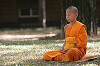 Archivo:Novice meditating in forest