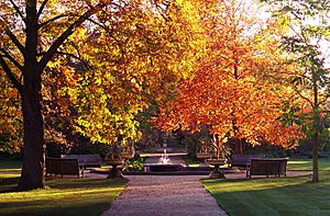 Archivo:Oxford Botanic Garden in Autumn 2004