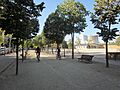 Parc Can Dragó 001