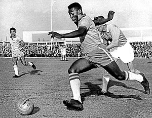 Archivo:Pelé 1960