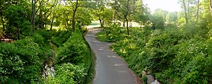 Archivo:ProspectPark Brooklyn Nethermead