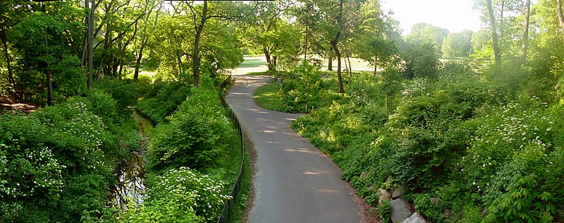 ProspectPark Brooklyn Nethermead