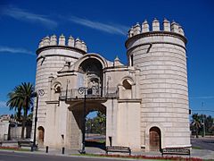 Puerta Palmas
