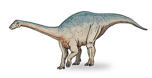 Archivo:Riojasaurus sketch3
