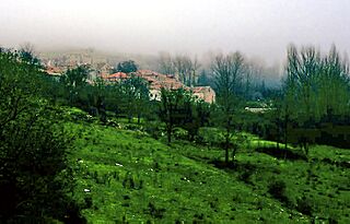 Riosalido (2007).jpg