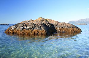 Archivo:Skerry in shallow water