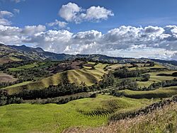 Vereda Páramo ( Marulanda - Caldas).jpg