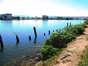 Archivo:Vestigios Maremoto 1960 Valdivia