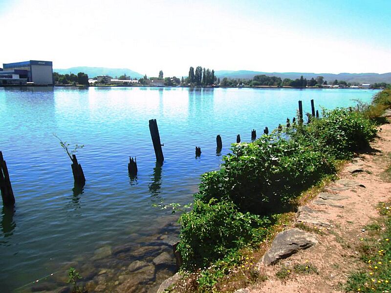 Vestigios Maremoto 1960 Valdivia