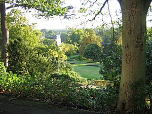 Archivo:View from Richmond Hill Surrey 01