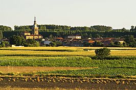Vista de Villarejo de Órbigo