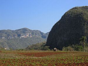 Archivo:Vinalesvalley1