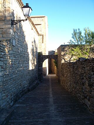 Vista de una calle de Roda de Isábena.jpg