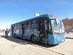 Wuayna Bus