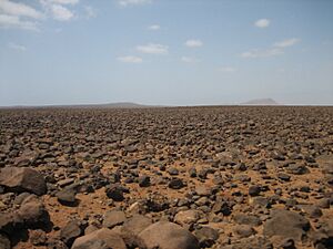 Archivo:260 Boa Vista