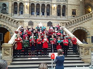 Archivo:A choir of Natural History Museum, Science Museum and Victoria and Albert Museum staff members sing carols in the central hall of the Natural History Museum 02
