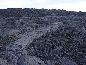 Archivo:Aa next to pahoehoe lava at Craters of the Moon NM-750px
