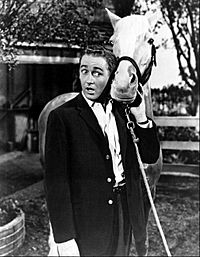 Archivo:Alan Young Mister Ed