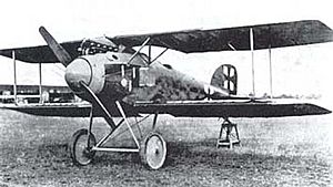 Archivo:Albatros D.II