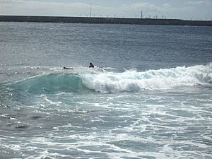 Archivo:Arinaga surf