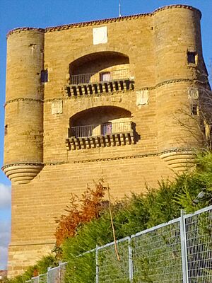 Archivo:Benavente - Castillo de la Mota y Torre del Caracol (Parador Nacional de Benavente) 18