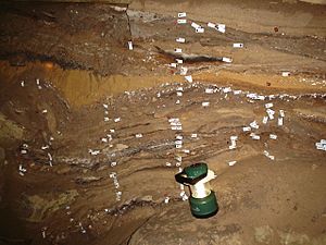 Archivo:Blombos Cave - deposit layers