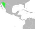 Bufo alvarius distribution